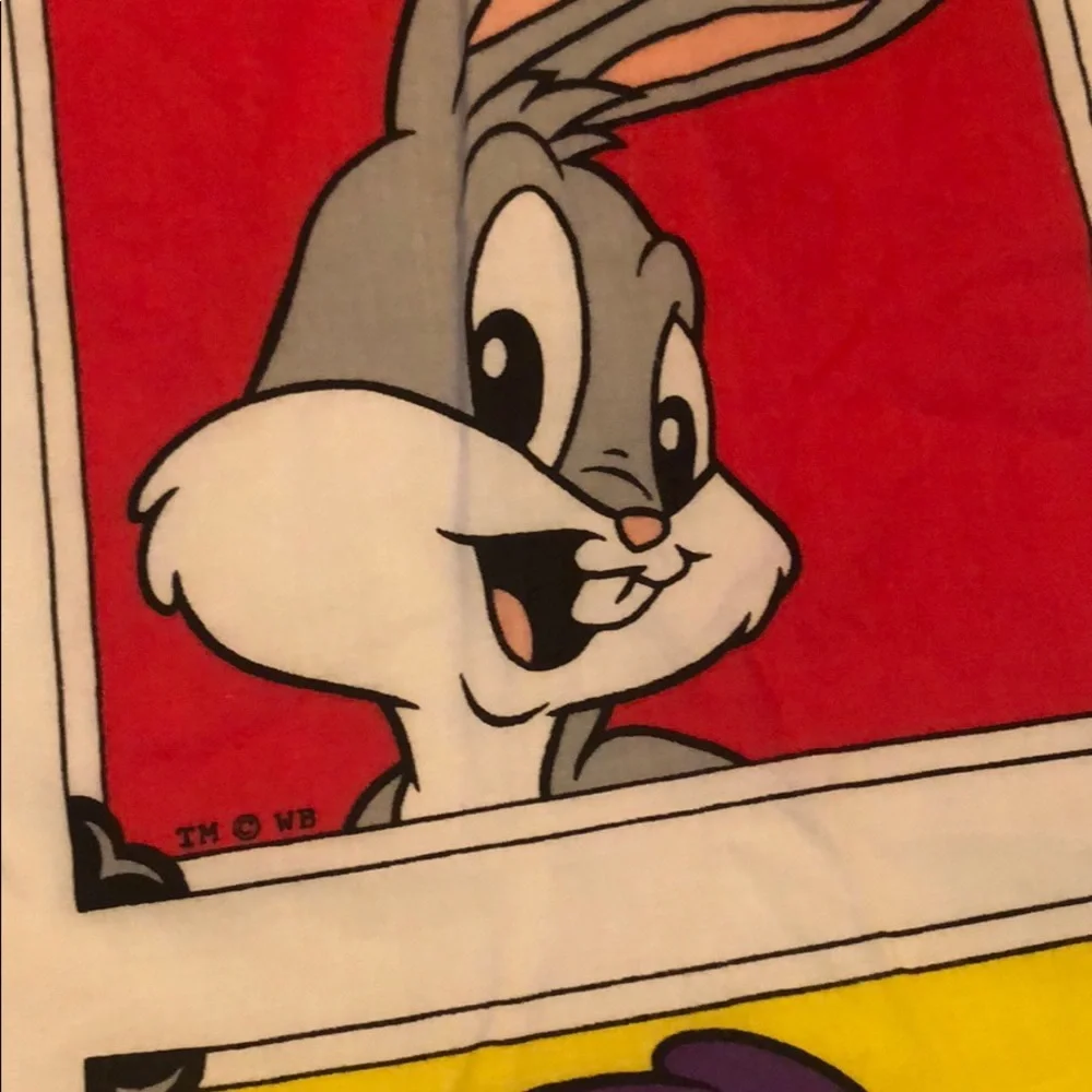 Vintage Warner Bros Looney tunes 3 Piece bedroom curtains Kids 44”W 63in L